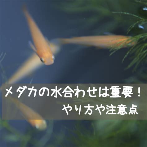 オナニーしてみたい。正しいやり方ってあるの？注意点を医師が。